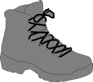 wading boot laces image